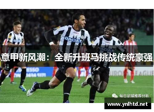 意甲新风潮：全新升班马挑战传统豪强